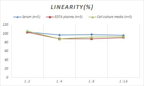 Human TATA binding protein TBP ELISA Kit (Colorimetric)