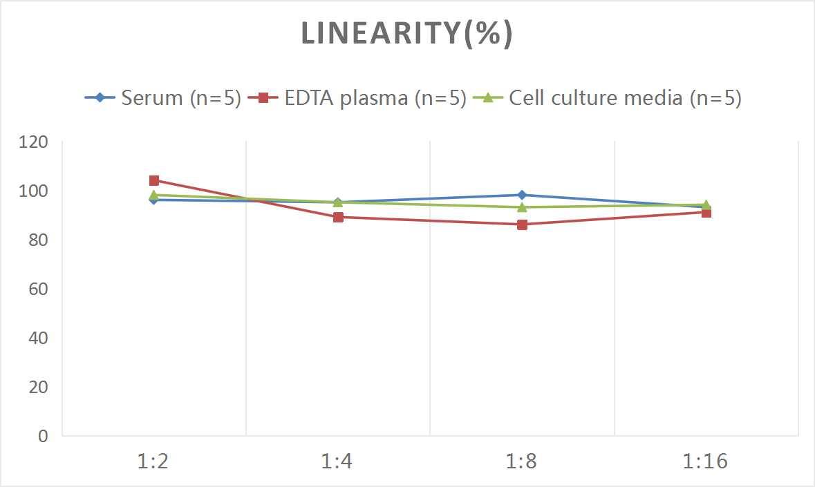 Mouse TGF-alpha ELISA Kit (Colorimetric)