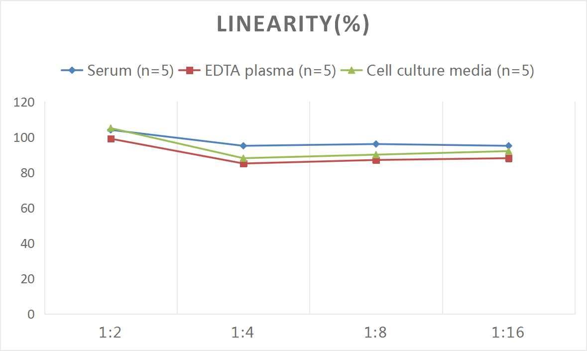 Mouse TGF-beta 3 ELISA Kit (Colorimetric)