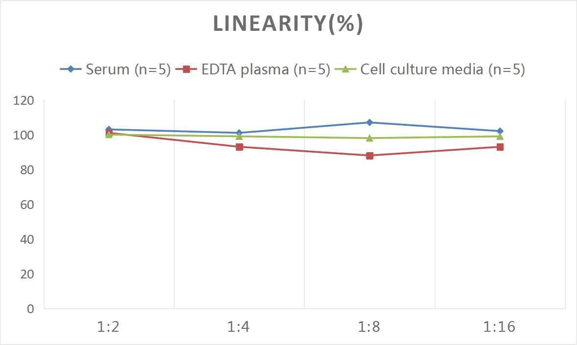 Rat TIMP-2 ELISA Kit (Colorimetric)