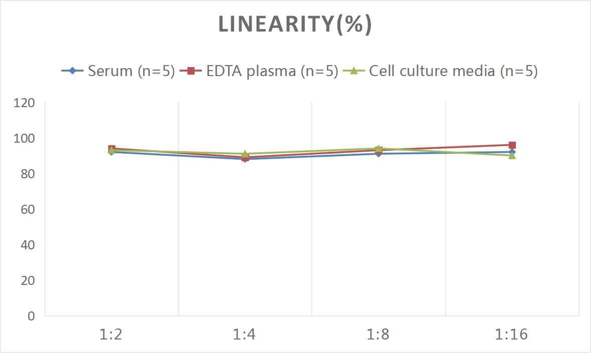 Monkey TL1A/TNFSF15 ELISA Kit (Colorimetric)