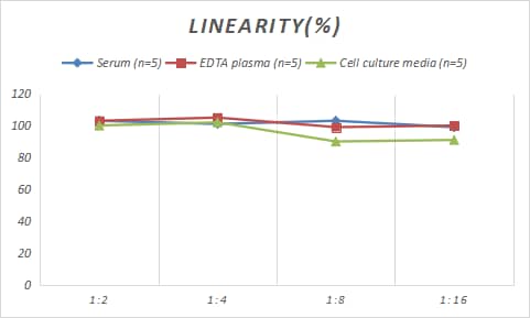 Sheep TNF-alpha ELISA Kit (Colorimetric)