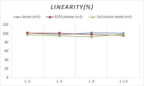 Monkey E6AP/UBE3A ELISA Kit (Colorimetric)