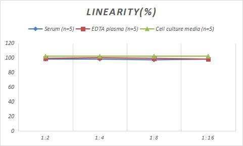 Porcine VE-Cadherin ELISA Kit (Colorimetric)