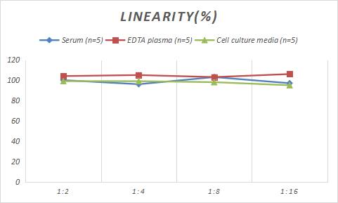 Porcine VIP ELISA Kit (Colorimetric)