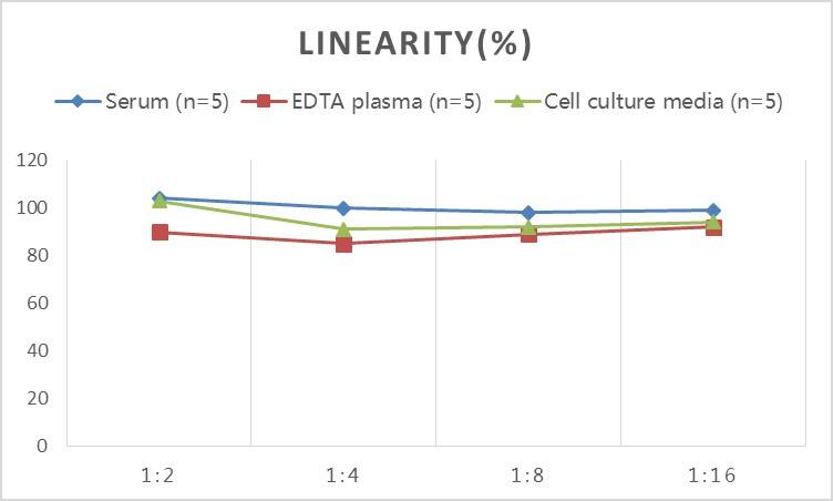Rat Serpin A1/alpha 1-Antitrypsin ELISA Kit (Colorimetric)