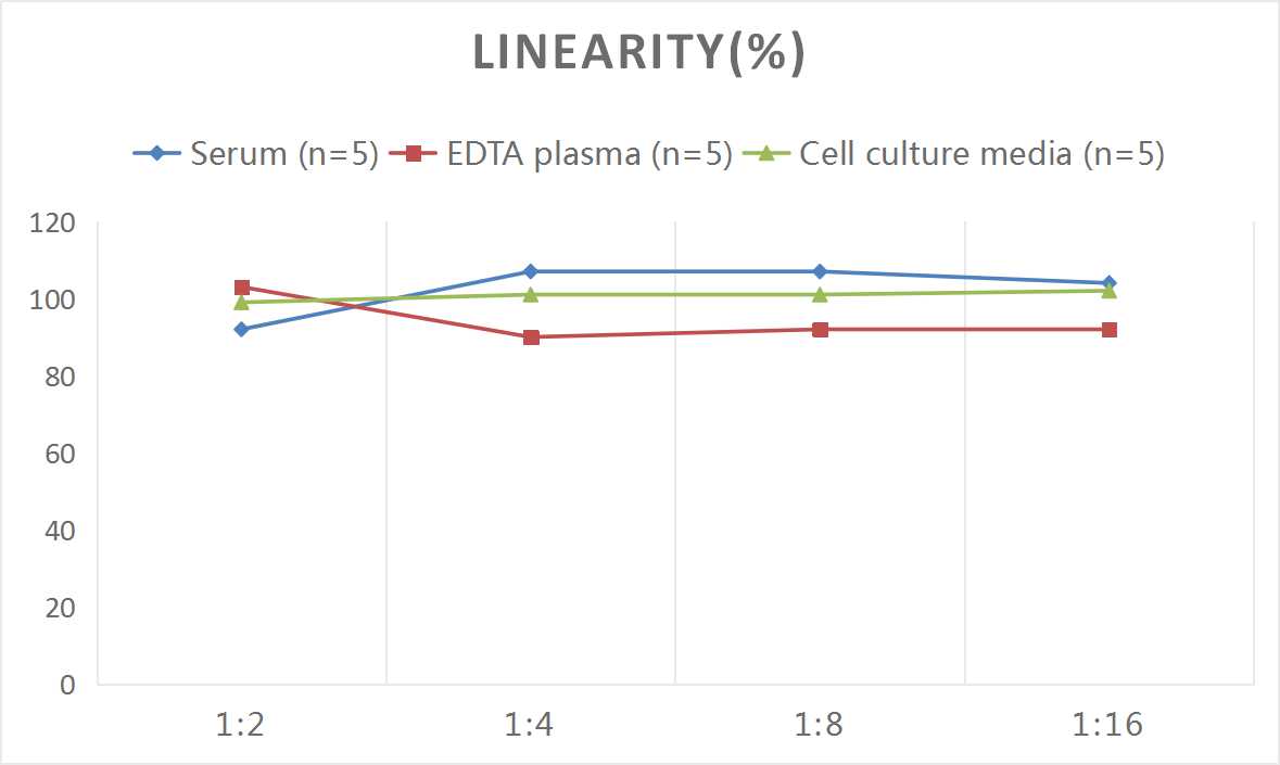 Rat alpha-Fetoprotein/AFP ELISA Kit (Colorimetric)