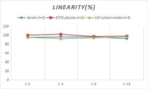 Rabbit TRACP/PAP/ACP5 ELISA Kit (Colorimetric)