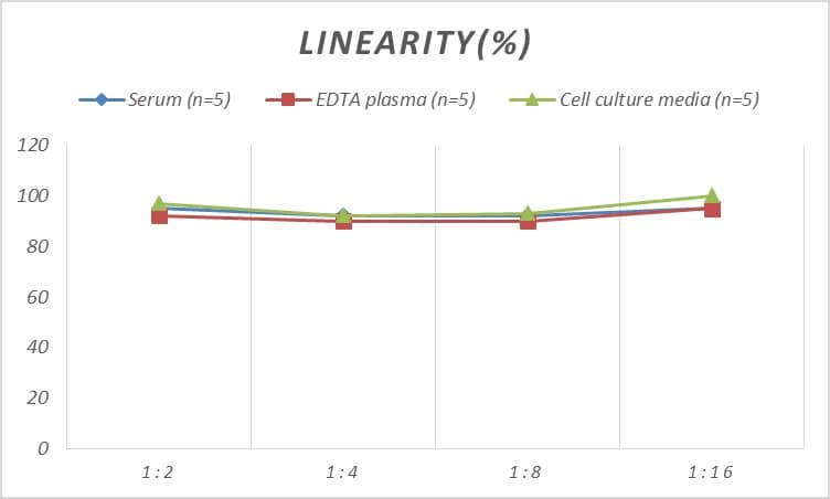 Porcine ACTH ELISA Kit (Colorimetric)