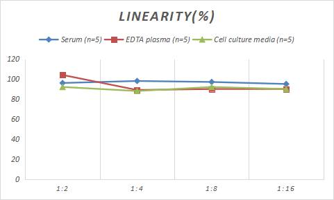 Rat Actin (Muscle Specific) ELISA Kit (Colorimetric)