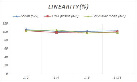 Monkey AGER ELISA Kit (Colorimetric)