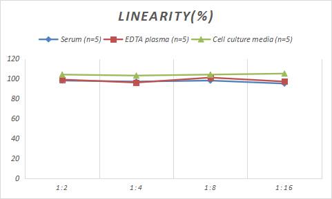 Porcine AGER ELISA Kit (Colorimetric)