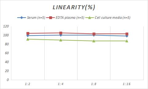 Rabbit Serpin A8/Angiotensinogen ELISA Kit (Colorimetric)