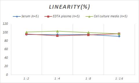 Porcine Pancreatic Amylase Alpha ELISA Kit (Colorimetric)