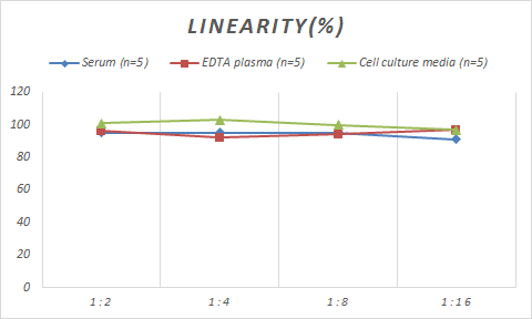 Porcine Pancreatic Amylase Alpha ELISA Kit (Colorimetric)