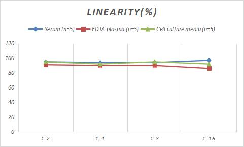 Rabbit Angiopoietin-2 ELISA Kit (Colorimetric)