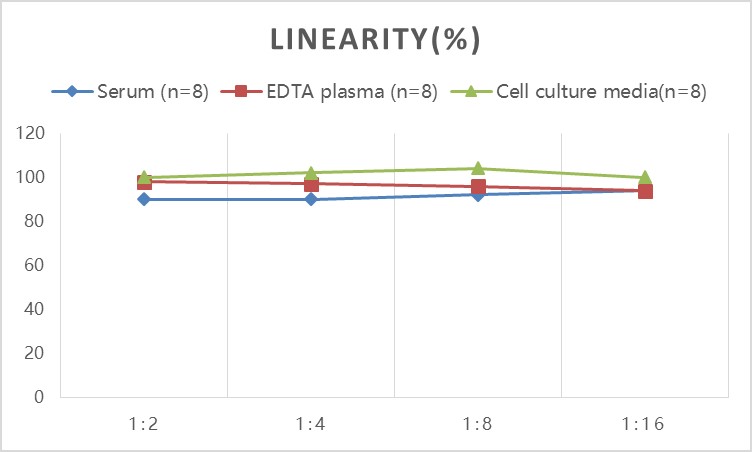 Rat Angiotensin II ELISA Kit (Colorimetric)