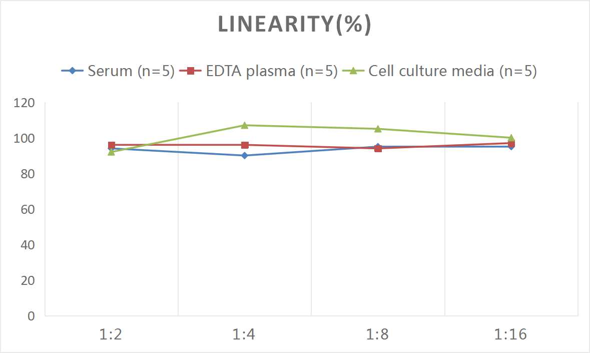 Mouse Angiotensin II ELISA Kit (Colorimetric)