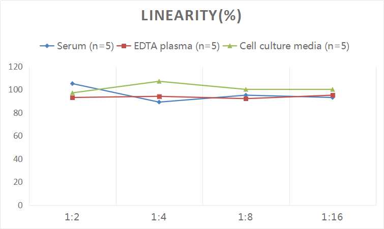 Human Angiotensin II ELISA Kit (Colorimetric)