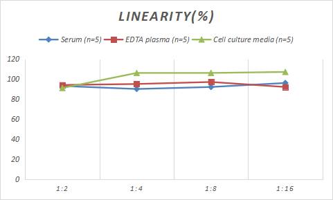 Porcine Angiotensin II ELISA Kit (Colorimetric)