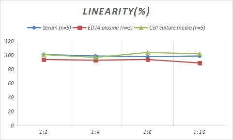Porcine Aquaporin-4 ELISA Kit (Colorimetric)