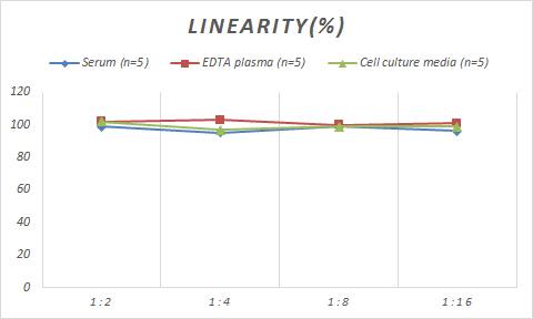 Monkey Amphiregulin ELISA Kit (Colorimetric)