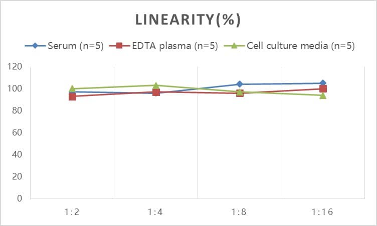 Rat Abeta 40 ELISA Kit (Colorimetric)