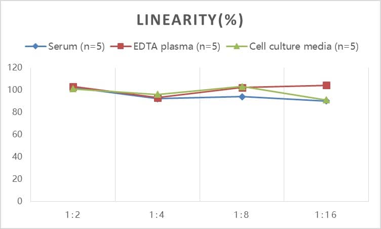 Mouse Abeta 40 ELISA Kit (Colorimetric)