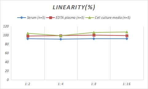 Rabbit Abeta 42 ELISA Kit (Colorimetric)