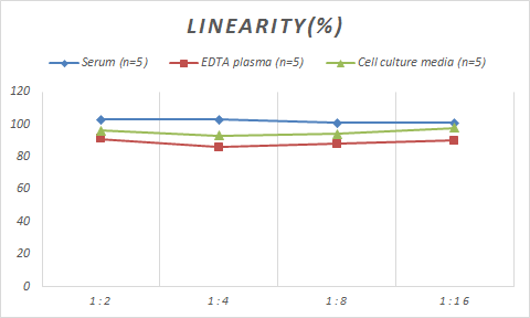 Monkey Bcl-2 ELISA Kit (Colorimetric)