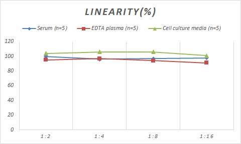 Monkey FGF basic/FGF2/bFGF ELISA Kit (Colorimetric)