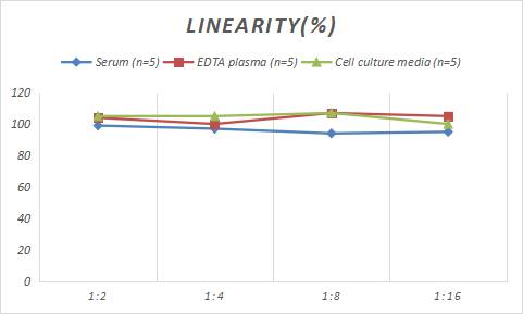 Sheep FGF basic/FGF2/bFGF ELISA Kit (Colorimetric)