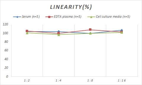 Monkey CXCL13/BLC/BCA-1 ELISA Kit (Colorimetric)
