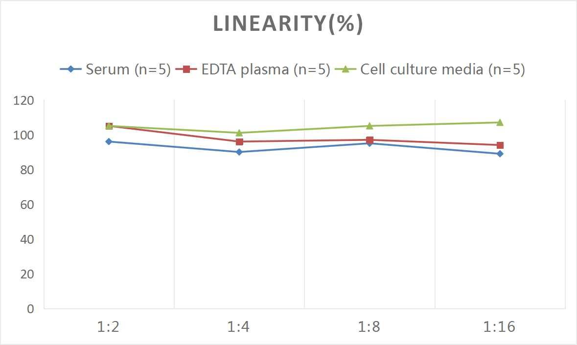 Rat BNP ELISA Kit (Colorimetric)