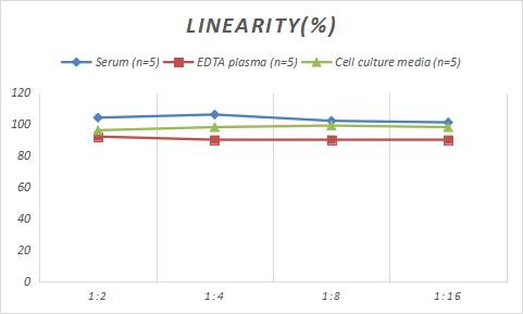 Rabbit Complement C3 ELISA Kit (Colorimetric)