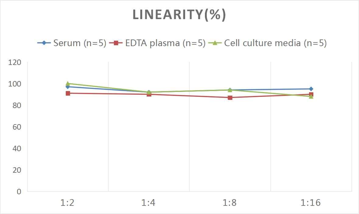 Human Complement Component C3d ELISA Kit (Colorimetric)