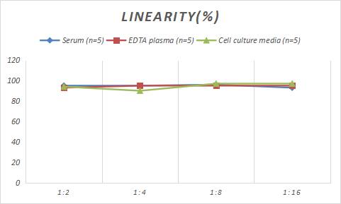Porcine Carbonic Anhydrase IX/CA9 ELISA Kit (Colorimetric)