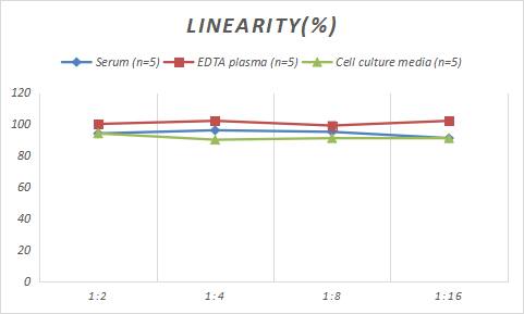 Rabbit Caspase-3 ELISA Kit (Colorimetric)