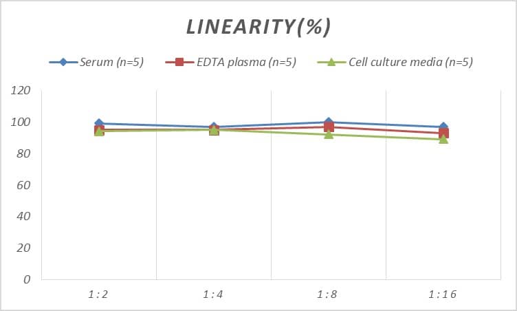 Monkey Uteroglobin/SCGB1A1 ELISA Kit (Colorimetric)