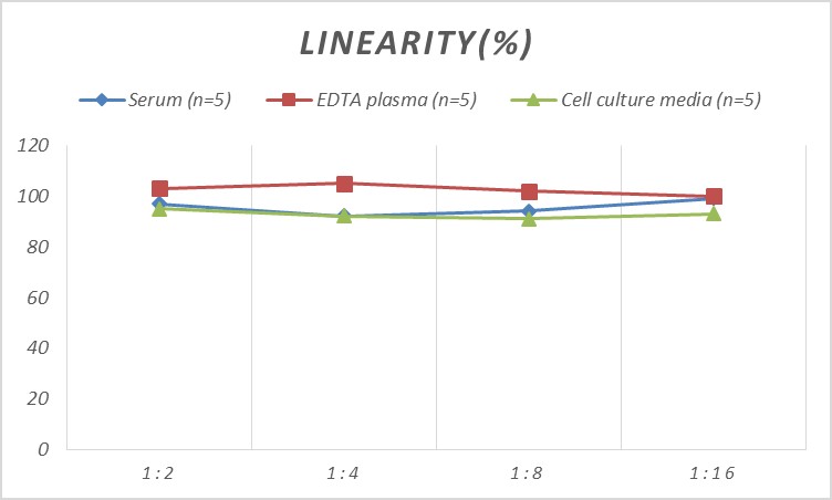 Monkey Complement Factor B ELISA Kit (Colorimetric)