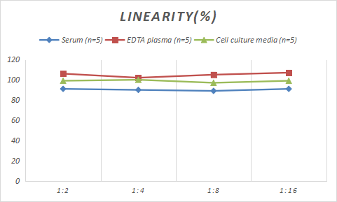 Rabbit Complement Factor B ELISA Kit (Colorimetric)