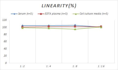 Monkey Complement Factor H ELISA Kit (Colorimetric)