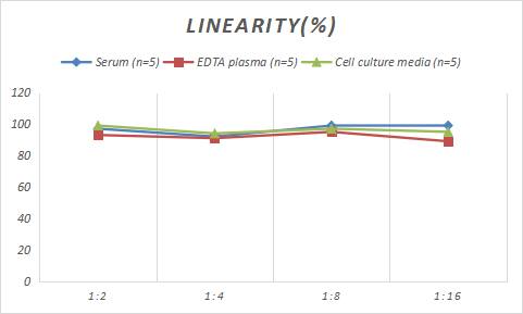 Rabbit CGRP1 ELISA Kit (Colorimetric)