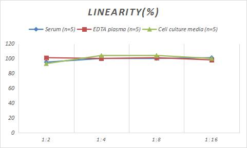 Sheep Creatine Kinase MB ELISA Kit (Colorimetric)