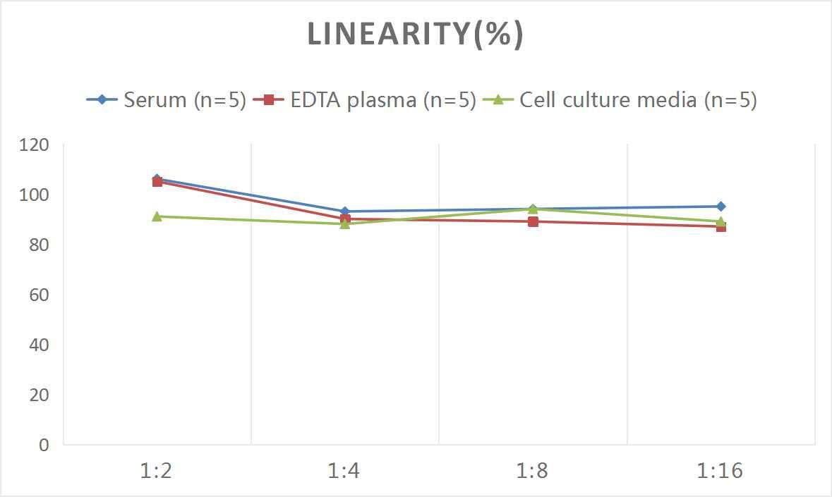 Human Connexin 43/GJA1 ELISA Kit (Colorimetric)