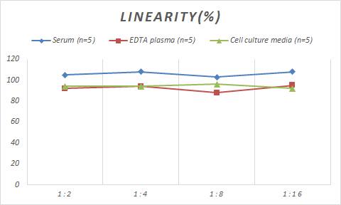 Porcine Collagen VI ELISA Kit (Colorimetric)