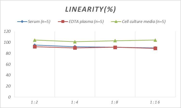 Monkey Cathepsin L ELISA Kit (Colorimetric)