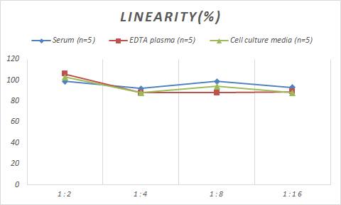 Human Cytochrome P450 2A6 ELISA Kit (Colorimetric)