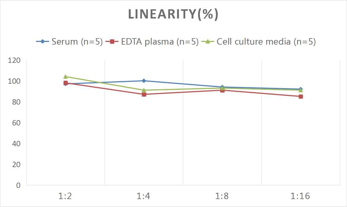 Mouse DAO ELISA Kit (Colorimetric)