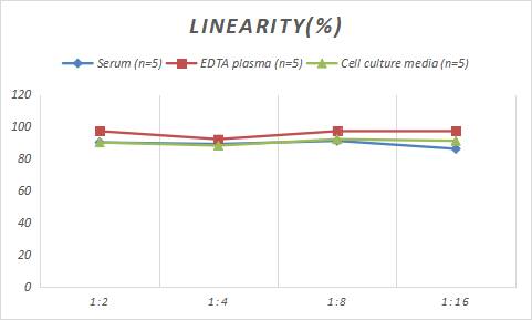 Porcine DAO ELISA Kit (Colorimetric)